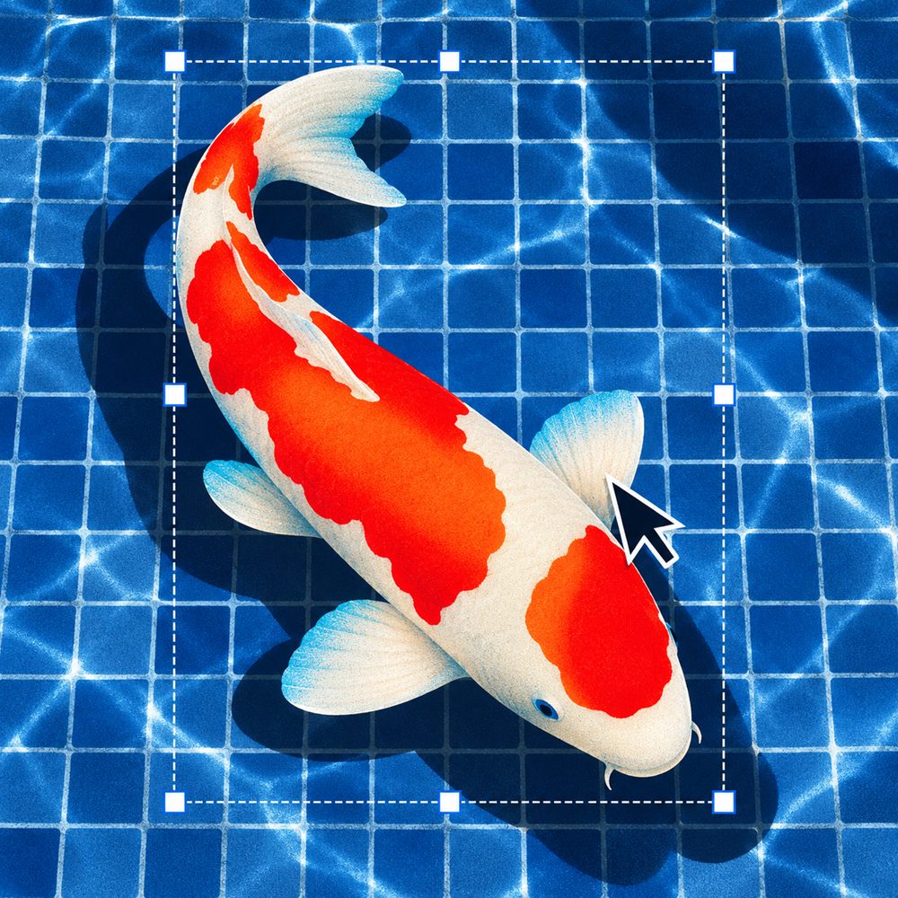Koi fish in a tiled pool, framed by a design selection box and cursor