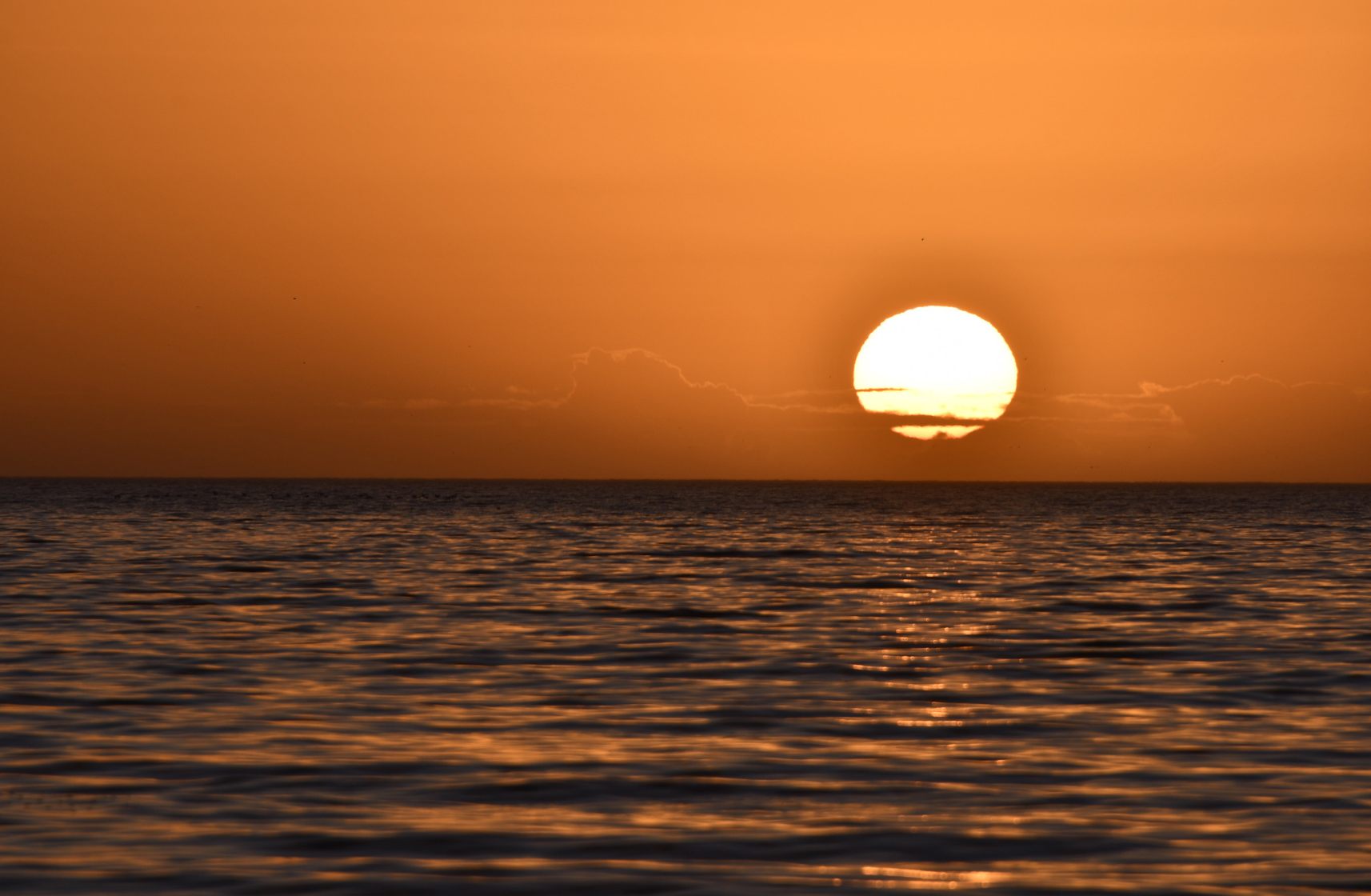 Sun setting over a calm sea